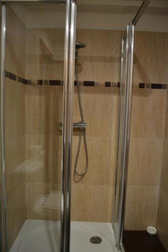 a shower with a glass door in a bathroom at Apartamentos Rurales La Cirigüeña in Oles