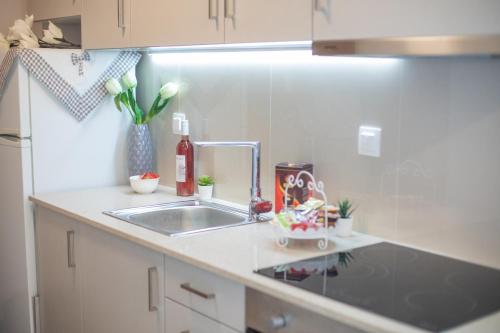 eine Küche mit einer Spüle und einer Arbeitsplatte in der Unterkunft Mantisses studio in Kalamata