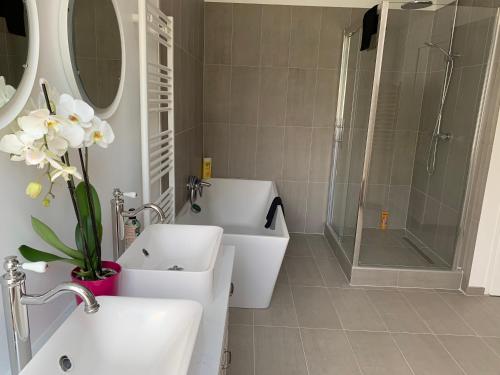 a bathroom with a sink and a shower and a toilet at Le Moulin Bleu in Saint Cyr-sous-Dourdan