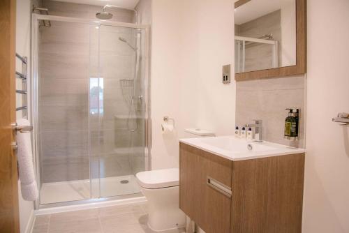 a bathroom with a shower and a toilet and a sink at 8 Deben Wharf in Woodbridge