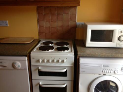 a kitchen with a stove and a microwave at Evergreen Bed & Breakfast in Swords