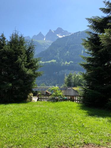 a green field with trees and mountains in the background at Chalet le Knou in Champéry