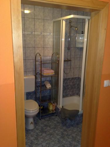 a bathroom with a toilet and a shower at Apartment Beli Zajec in Mozirje