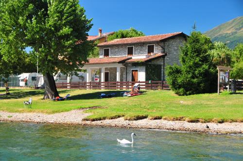 two swans in the water in front of a house at Villa Carolina in Domaso