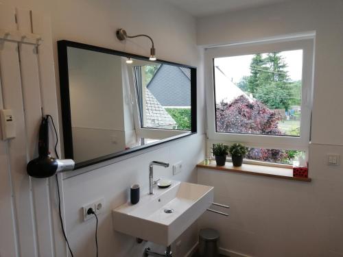 a bathroom with a sink and a mirror and two windows at Kunz-Stücke in Emmerichenhain