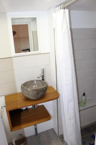 La salle de bains est pourvue d'un lavabo, d'un miroir et d'une douche. dans l'établissement studio sur péniche La Tortue, à Ramonville-Saint-Agne