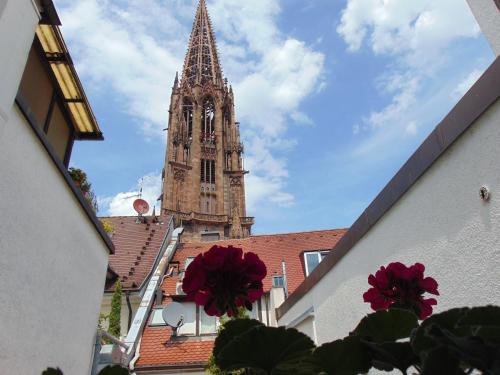 Fotografija v galeriji nastanitve Boutiquehotel Oberkirch im Zentrum v Freiburgu im Breisgau