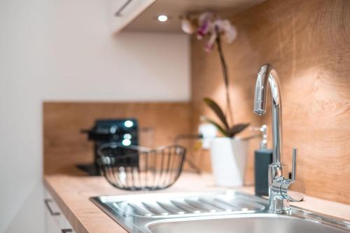 - un évier de cuisine avec une fleur sur le comptoir dans l'établissement Hypercentre Charmant 2 Chambres Au Calme avec Joli Patio Privatif, à Nantes