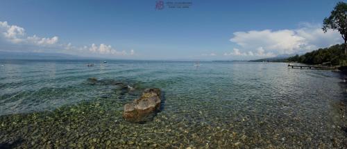 a large rock in the water near a beach at Hotel Le Bourgogne in Évian-les-Bains