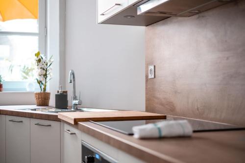 a kitchen with a sink and a counter top at Hypercentre Appart 2 à4 pers Calme & Cosy avec Terrasse Privée in Nantes