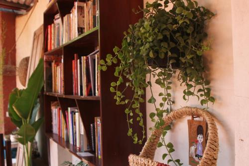 a book shelf with a potted plant and a basket at Chicken's house- Đường Lâm Homestay in Hanoi