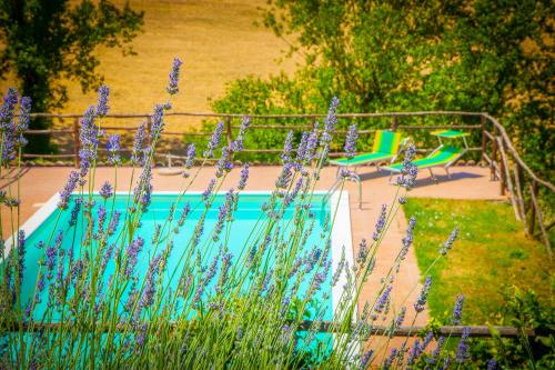a garden with purple flowers and two chairs and a pool at Agriturismo Bio Tra Cielo e Terra in Grutti