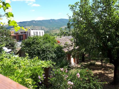 Imagen de la galería de Old house apartment with Garden area, en Mtskheta