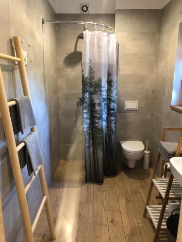 uma casa de banho com um chuveiro e um WC. em Letnisko Smoldzino em Smoldzino