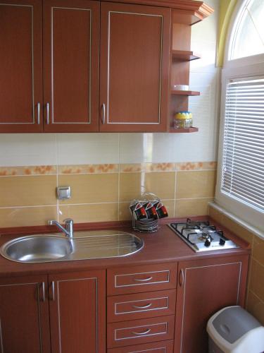 a small kitchen with a sink and a stove at President Bungalows and Apartments in Utjeha