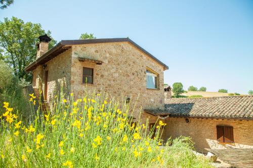 an old stone house with a field of yellow flowers at Agriturismo Bio Tra Cielo e Terra in Grutti