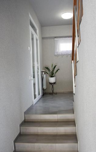 Fotografie z fotogalerie ubytování Apartamenty ZORZA v Krakově