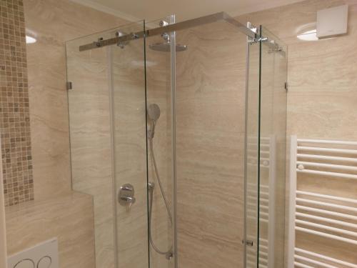 a shower with a glass door in a bathroom at Hotel Vegov Hram in Dol pri Ljubljani