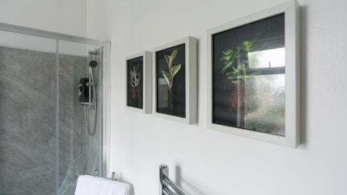 a group of four pictures on a wall in a bathroom at Netherfield in Park Gate