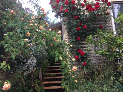 a stairway covered in flowers and roses at Waitomo Caves Guest Lodge in Waitomo Caves