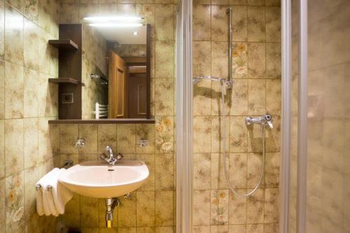 a bathroom with a sink and a shower at Birkenhof in Sankt Veit in Defereggen