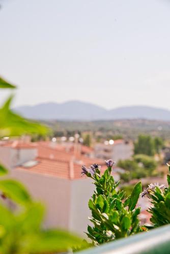 a view of a city from a roof at Nesto Athens Airport in Spáta