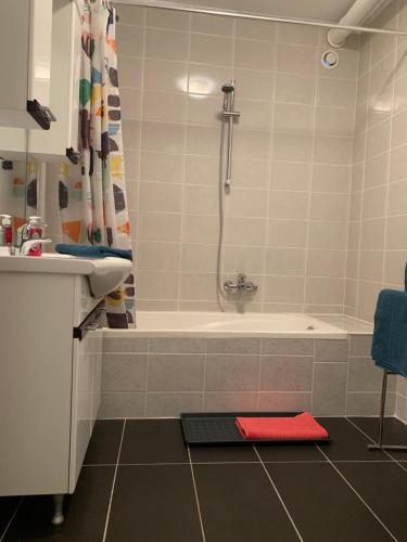 ein Badezimmer mit einer Badewanne, einer Dusche und einer roten Matte in der Unterkunft Anna Place in Gent