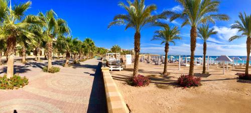 a street with palm trees on a beach at Luxury Villa with pool in Hurghada in Hurghada