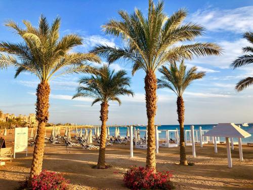 a group of palm trees on the beach at Luxury Villa with pool in Hurghada in Hurghada