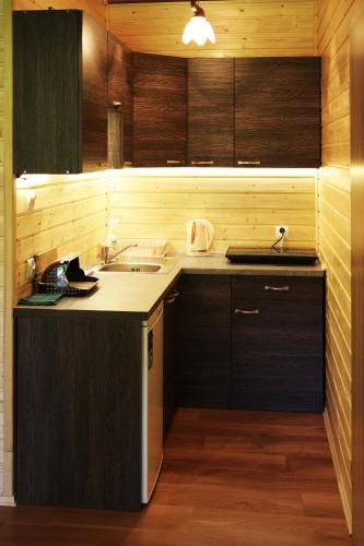 Dapur atau dapur kecil di Osada BiesCzad