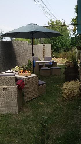a table and chairs with an umbrella in a yard at Nino's House in Tsinandali
