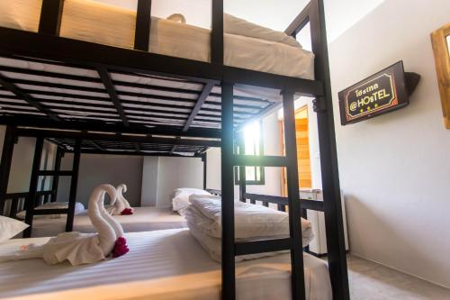 a room with two bunk beds with a swan on them at @HOsTEL PHANGAN in Baan Tai