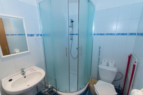 a bathroom with a shower and a sink and a toilet at Pension Terezka in Frymburk