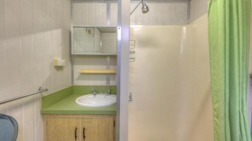 La salle de bains est pourvue d'un lavabo et d'un rideau de douche vert. dans l'établissement River Bend Caravan Park, à Kanyapella