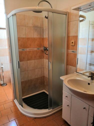 a shower with a glass door next to a sink at Ferienhaus Hlidek in Nová Lhota