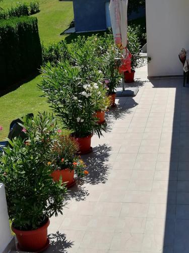 House Osana – Photos 5