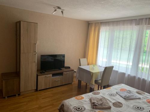 TV a/nebo společenská místnost v ubytování Panorama Resort