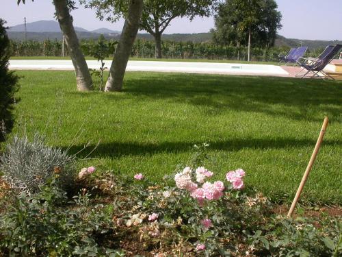 a field of grass with pink flowers and trees at Casavacanze Sant'Eugenia in Attigliano