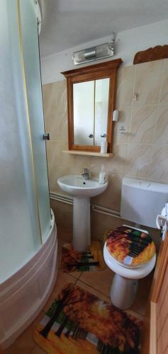 a bathroom with a sink and a toilet at Belvedere La Cristina in Corbeni