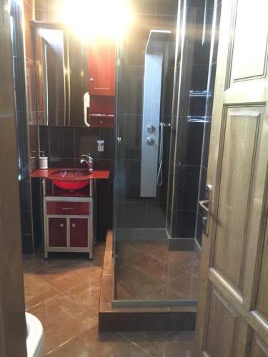 a bathroom with a glass shower and a sink at Casa Onyx in Târgu Jiu