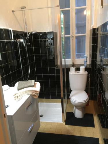 a bathroom with a toilet and a shower and a sink at La maison des pères in Charolles