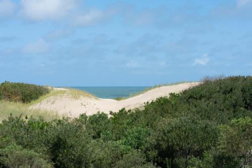 two sand dunes on a hill next to the ocean at Valeria Playa Apart in Valeria del Mar
