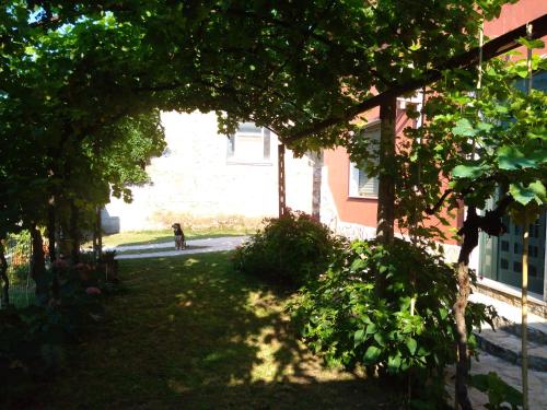 a person walking down a street next to a building at Bella di notte in San Giorgio a Liri
