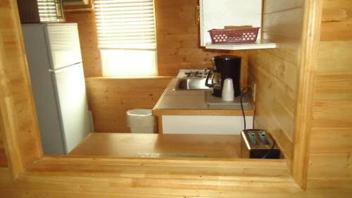 A kitchen or kitchenette at Dreamland Motel