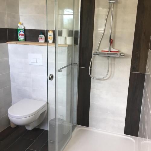 une salle de bain avec toilettes et douche en verre dans l'établissement Chambres de Valérie, à Saint-Cyprien