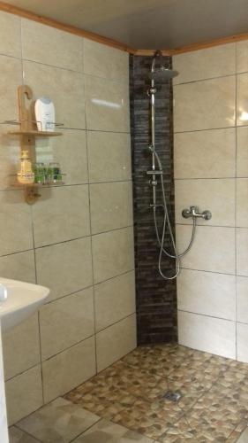W łazience znajduje się prysznic i umywalka. w obiekcie Ferme Lebon Papillon le chalet kayamb w mieście Le Tampon