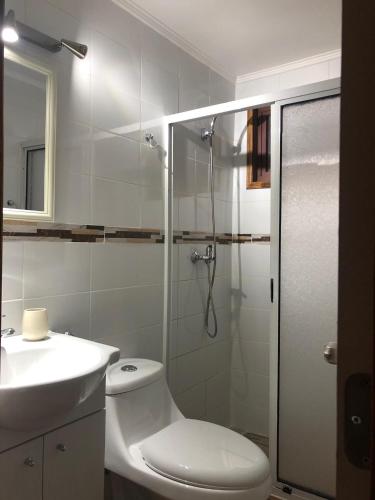 a bathroom with a shower and a toilet and a sink at Cabañas Llancahue in Valdivia
