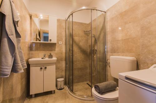 a bathroom with a shower and a toilet and a sink at Putnik in Dugi Rat