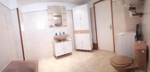 une salle de bain avec un lavabo et des toilettes dans l'établissement Corse village Calcatoggio location pour 2 pers avec terrasse 5 kms des Plages, à Calcatoggio