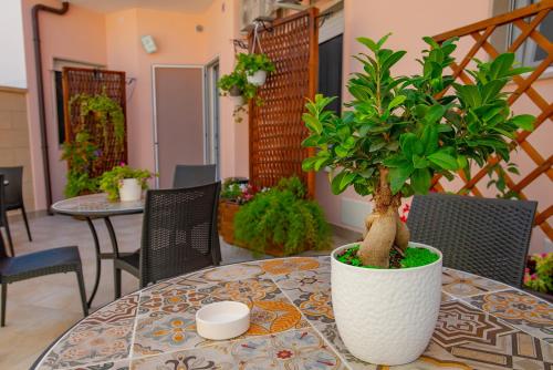 a table with a potted plant on top of it at b&b Rita, nel cuore del Salento in Cavallino di Lecce